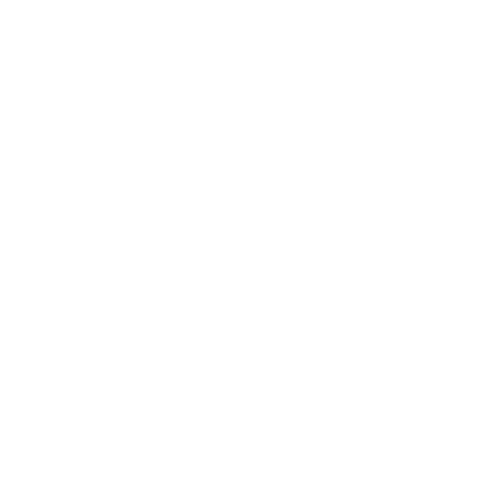 Globe Icon